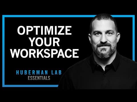 Optimizing Workspace for Productivity, Focus & Creativity | Huberman Lab Essentials